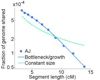 The pattern of lengths of shared segments in Ashkenazi Jews (AJ) cannot be explained by a constant population size, but is very well fitted into a population undergoing a severe bottleneck (decrease in the population size) followed by rapid expansion. From Carmi et al., Nat. Commun., 2014.